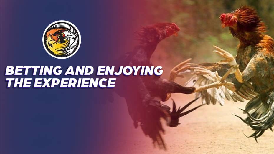 where can i bet on boxing